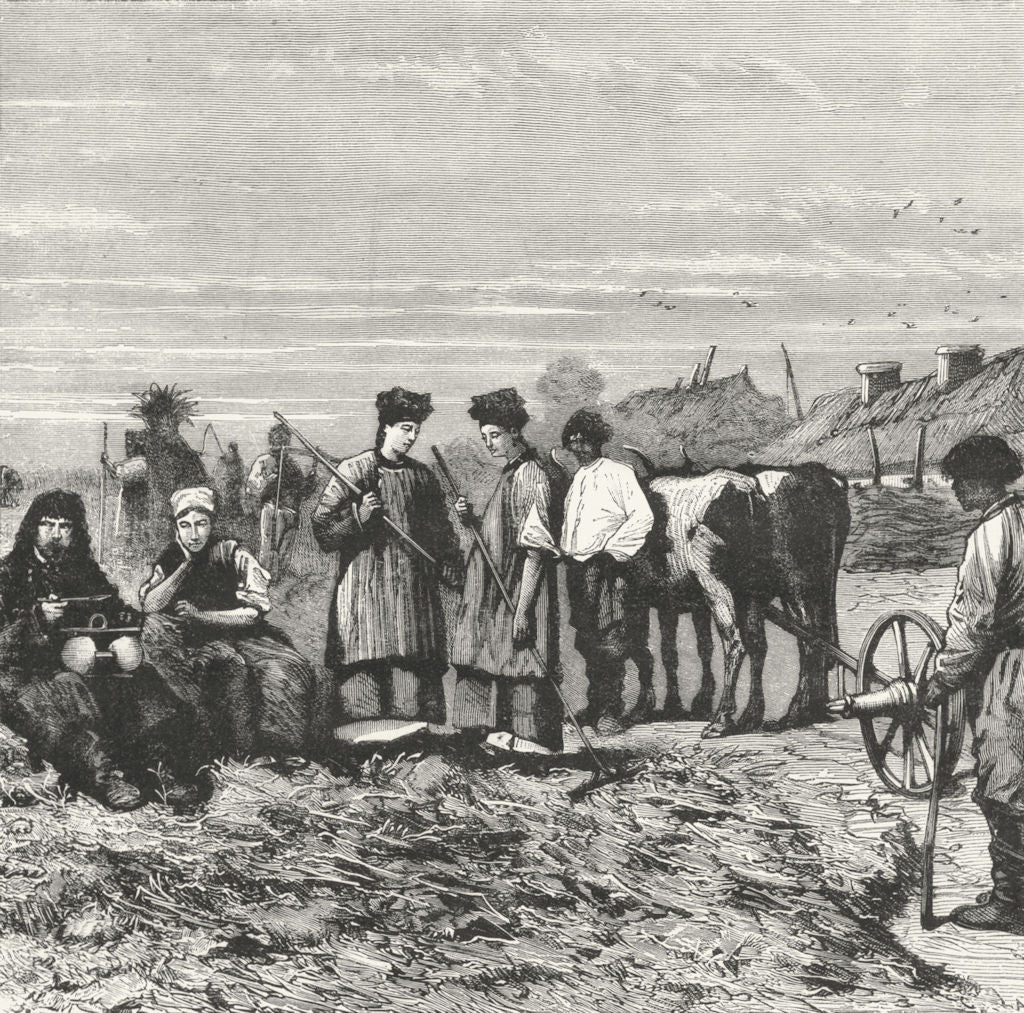 UKRAINE. Haymaking in Ukrania c1885 old antique vintage print picture